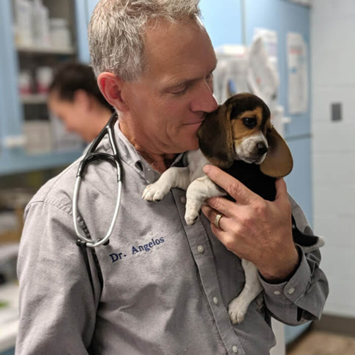 Meet Our team Image 2