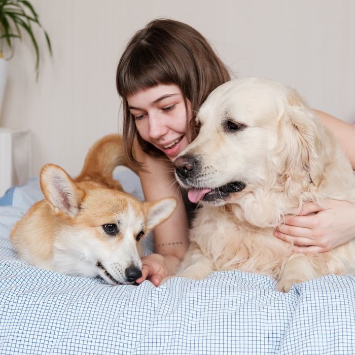 Girl smiles with two dogs Girl smiles with two dogs