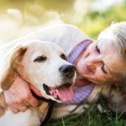 Person cuddling dog in grass Girl hugs her pet beagle