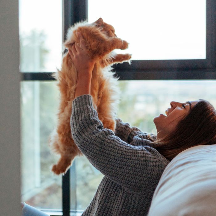Woman and cat by window Woman and cat by window